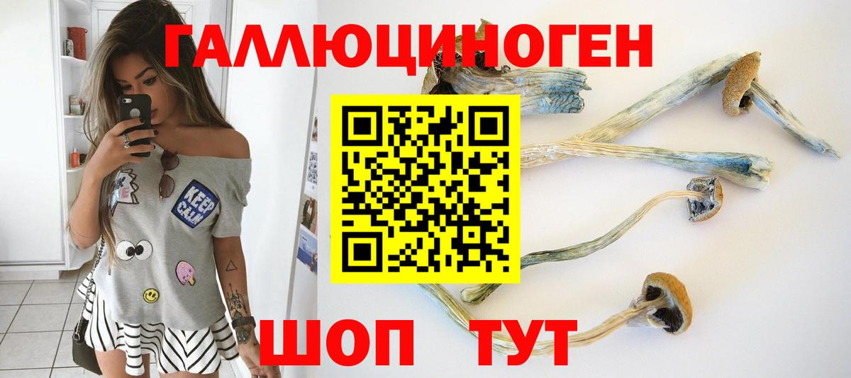 Кулебаки  Псилоцибиновые грибы GOLDEN TEACHER  Вход с VPN  как найти наркотики  Псилоцибиновые грибы MAGIC MUSHROOMS 